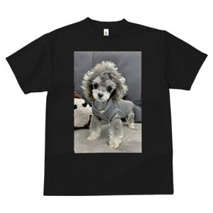 トイプードル Tシャツ レディース 犬ファン 半袖 春夏 犬柄 プリント カジュアル かわいい 人間用 個性派 ここだけのデザイン 面白 ぬいぐるみ トイプードル 服