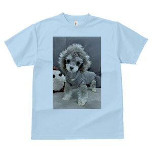 トイプードル Tシャツ メンズ キッズ 犬ファン 半袖 春夏 犬柄 プリント カジュアル かわいい 人間用 個性派 ここだけのデザイン 面白 ぬいぐるみ トイプードル 服