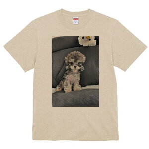 gCv[h TVc Y LbY t@  t  vg JWA 킢 lԗp h ̃fUC ʔ ʂ gCv[h