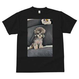 gCv[h TVc fB[X t@  t  vg JWA 킢 lԗp h ̃fUC ʔ ʂ gCv[h