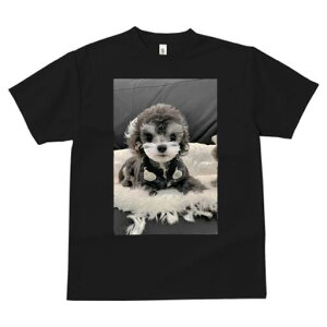 gCv[h TVc fB[X t@  t  vg JWA 킢 lԗp h ̃fUC ʔ ʂ gCv[h NbV