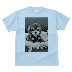 gCv[h TVc Y LbY t@  t  vg JWA 킢 lԗp h ̃fUC ʔ ʂ gCv[h NbV