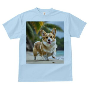 R[M[ TVc Y LbY t@  t  vg JWA 킢 lԗp h ̃fUC ʔ r[` R[M[ C l V̖