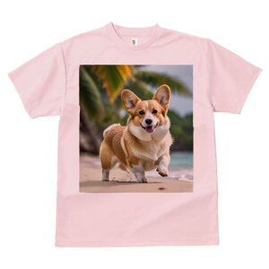 R[M[ TVc Y LbY t@  t  vg JWA 킢 lԗp h ̃fUC ʔ r[` R[M[ C l V̖