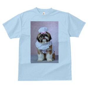 V[Y[ TVc Y LbY t@  t  vg JWA 킢 lԗp h ̃fUC ʔ RbNX V[Y[ Gv sÑ{