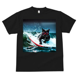 TVc fB[X t@  t  vg JWA 킢 lԗp h ̃fUC ʔ T[tB C g TOX