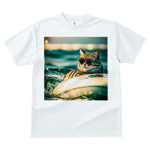 TVc fB[X t@  t  vg JWA 킢 lԗp h ̃fUC ʔ TOX C T[t{[h