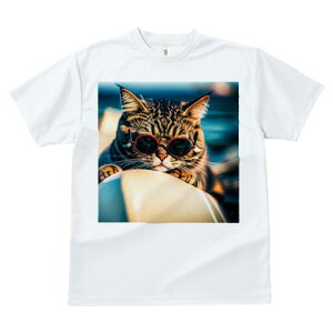 TVc fB[X t@  t  vg JWA 킢 lԗp h ̃fUC ʔ TOX