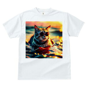 TVc fB[X t@  t  vg JWA 킢 lԗp h ̃fUC ʔ TOX C [Ă  ][g