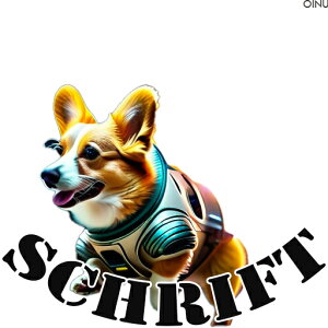 F R[M[ NbVJo[ 45×45cm Aj}   NbV{̕t ` t@