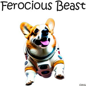 F R[M[ Xy[X NbVJo[ 45×45cm Aj}   NbV{̕t ` t@