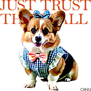 { R[M[  NbVJo[ 45×45cm Aj}   NbV{̕t ` t@