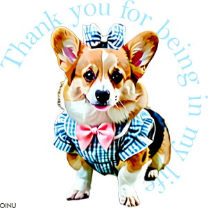 { R[M[  NbVJo[ 45×45cm Aj}   NbV{̕t ` t@