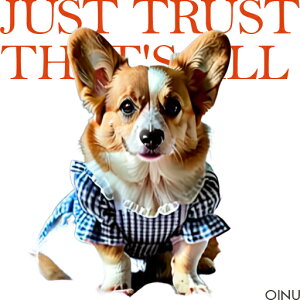  R[M[ s[X NbVJo[ 45×45cm Aj}   NbV{̕t ` t@