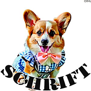 lN^C R[M[  NbVJo[ 45×45cm Aj}   NbV{̕t ` t@