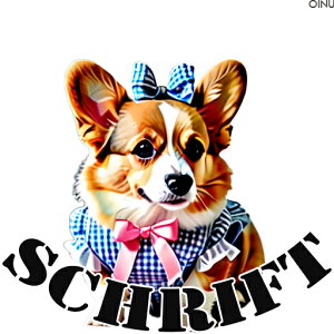 { R[M[  NbVJo[ 45×45cm Aj}   NbV{̕t ` t@