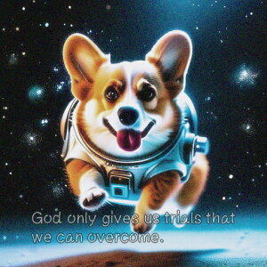 F R[M[ F NbVJo[ 45×45cm Aj}   NbV{̕t ` t@