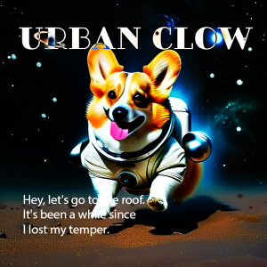 F R[M[ Xy[X F NbVJo[ 45×45cm Aj}   NbV{̕t ` t@