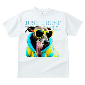 C^AO[nEh TVc fB[X t@  t  vg JWA 킢 lԗp h ̃fUC ʔ TOX C^AO[nEh W