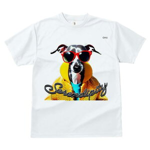 C^AO[nEh TVc fB[X t@  t  vg JWA 킢 lԗp h ̃fUC ʔ TOX C^AO[nEh W