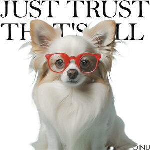 Kl ` NbVJo[ 45×45cm Aj}   NbV{̕t ` t@