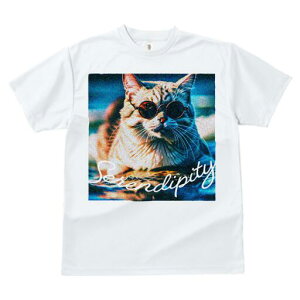 TVc fB[X t@  t  vg JWA 킢 lԗp h ̃fUC ʔ TOX