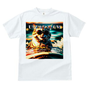 TVc fB[X t@  t  vg JWA 킢 lԗp h ̃fUC ʔ TOX L  C ][g