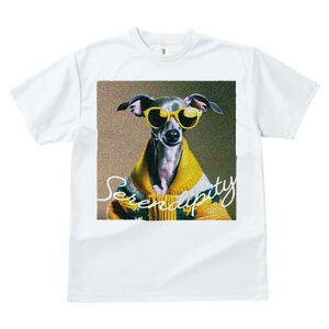 C^AO[nEh TVc fB[X t@  t  vg JWA 킢 lԗp h ̃fUC ʔ TOX C^AO[nEh Z[