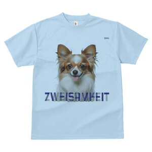 ` TVc Y LbY t@  t  vg JWA 킢 lԗp h ̃fUC ʔ Kl `