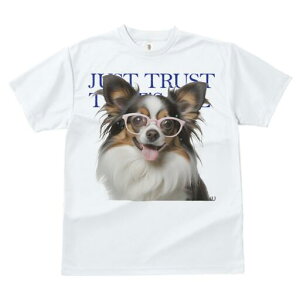 ` TVc fB[X t@  t  vg JWA 킢 lԗp h ̃fUC ʔ Kl `