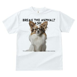 ` TVc fB[X t@  t  vg JWA 킢 lԗp h ̃fUC ʔ Kl `