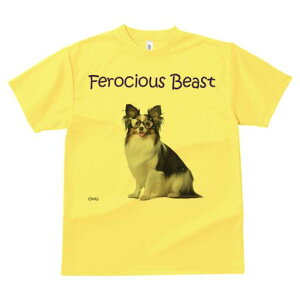 ps TVc Y LbY t@  t  vg JWA 킢 lԗp h ̃fUC ʔ Kl ps