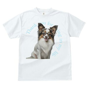 ps TVc Y LbY t@  t  vg JWA 킢 lԗp h ̃fUC ʔ Kl ps