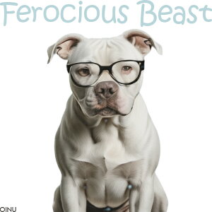 Kl AJsbgueA NbVJo[ 45×45cm Aj}   NbV{̕t ` t@