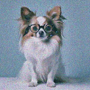 Kl ` NbVJo[ 45×45cm Aj}   NbV{̕t ` t@