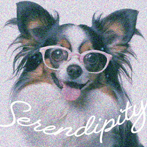 Kl ` NbVJo[ 45×45cm Aj}   NbV{̕t ` t@