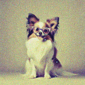 Kl ` NbVJo[ 45×45cm Aj}   NbV{̕t ` t@