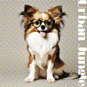 Kl ` NbVJo[ 45×45cm Aj}   NbV{̕t ` t@