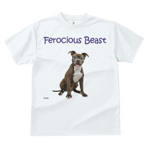 AJsbgueA TVc fB[X t@  t  vg JWA 킢 lԗp h ̃fUC ʔ Kl AJsbgueA