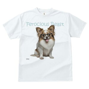 ` TVc fB[X t@  t  vg JWA 킢 lԗp h ̃fUC ʔ Kl `