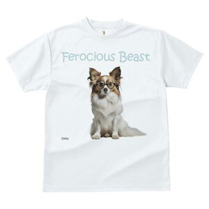 ps TVc fB[X t@  t  vg JWA 킢 lԗp h ̃fUC ʔ Kl ps