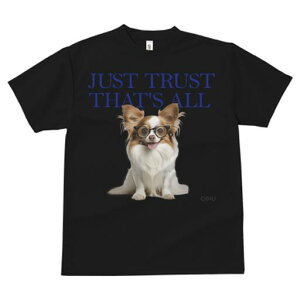 ` TVc fB[X t@  t  vg JWA 킢 lԗp h ̃fUC ʔ Kl `