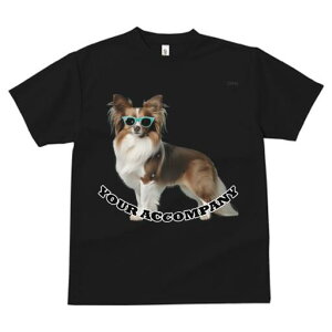 ps TVc fB[X t@  t  vg JWA 킢 lԗp h ̃fUC ʔ TOX ps