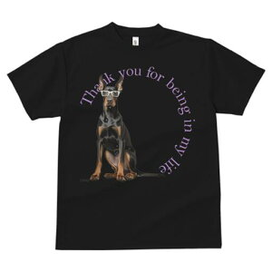 h[x} TVc Y LbY t@  t  vg JWA 킢 lԗp h ̃fUC ʔ Kl h[x}