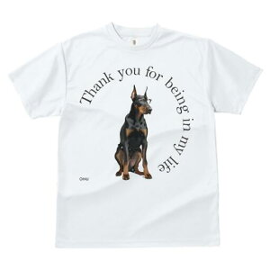 h[x} TVc Y LbY t@  t  vg JWA 킢 lԗp h ̃fUC ʔ Kl h[x}