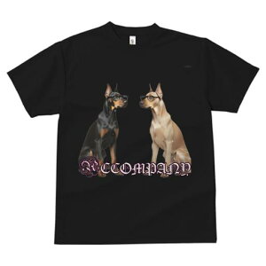 h[x},O[gf[ TVc fB[X t@  t  vg JWA 킢 lԗp h ̃fUC ʔ Kl h[x},O[gf[