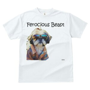 V[Y[ TVc fB[X t@  t  vg JWA 킢 lԗp h ̃fUC ʔ TOX V[Y[ WPbg