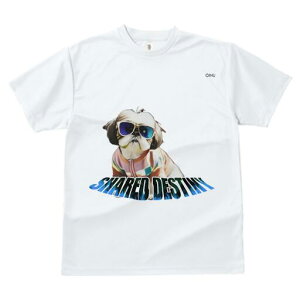 V[Y[ TVc fB[X t@  t  vg JWA 킢 lԗp h ̃fUC ʔ TOX V[Y[ 