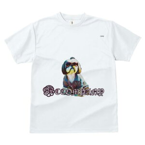 V[Y[ TVc fB[X t@  t  vg JWA 킢 lԗp h ̃fUC ʔ TOX V[Y[ 