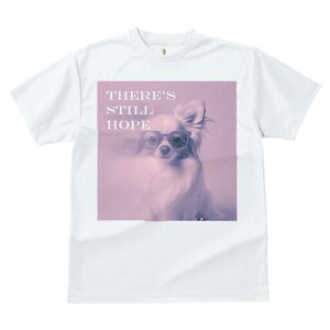 ` TVc Y LbY t@  t  vg JWA 킢 lԗp h ̃fUC ʔ Kl `